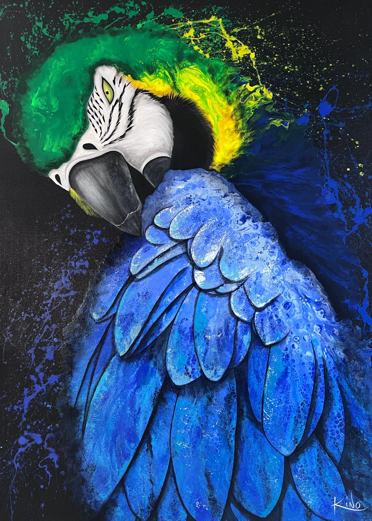 Guacamaya