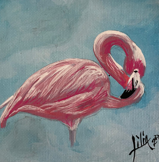 Flamingo