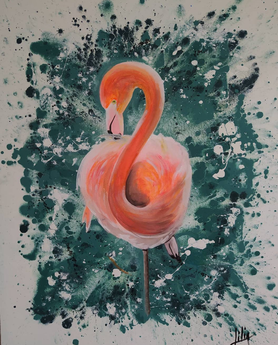 Flamingo