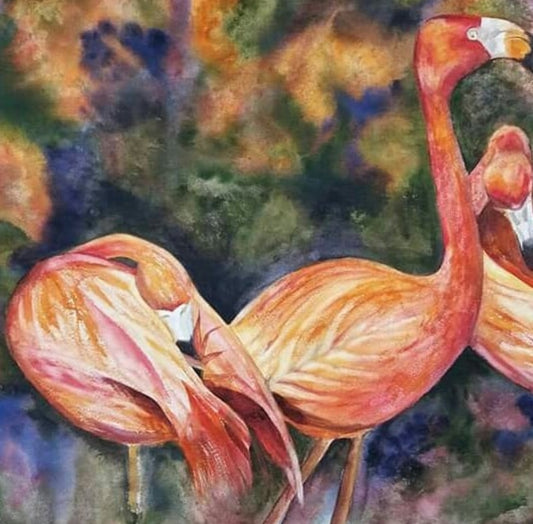 Flamingos