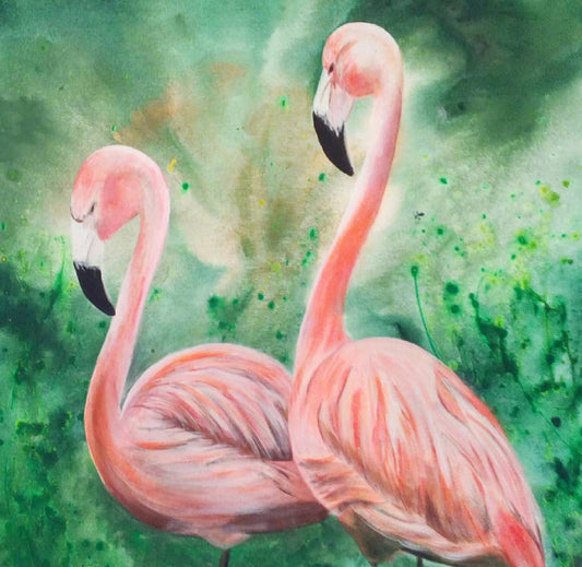 Flamingos